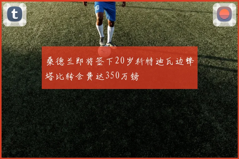 桑德兰即将签下20岁科特迪瓦边锋塔比转会费达350万镑