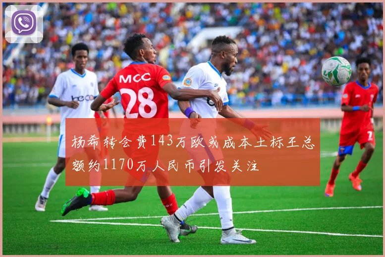 杨希转会费143万欧或成本土标王总额约1170万人民币引发关注